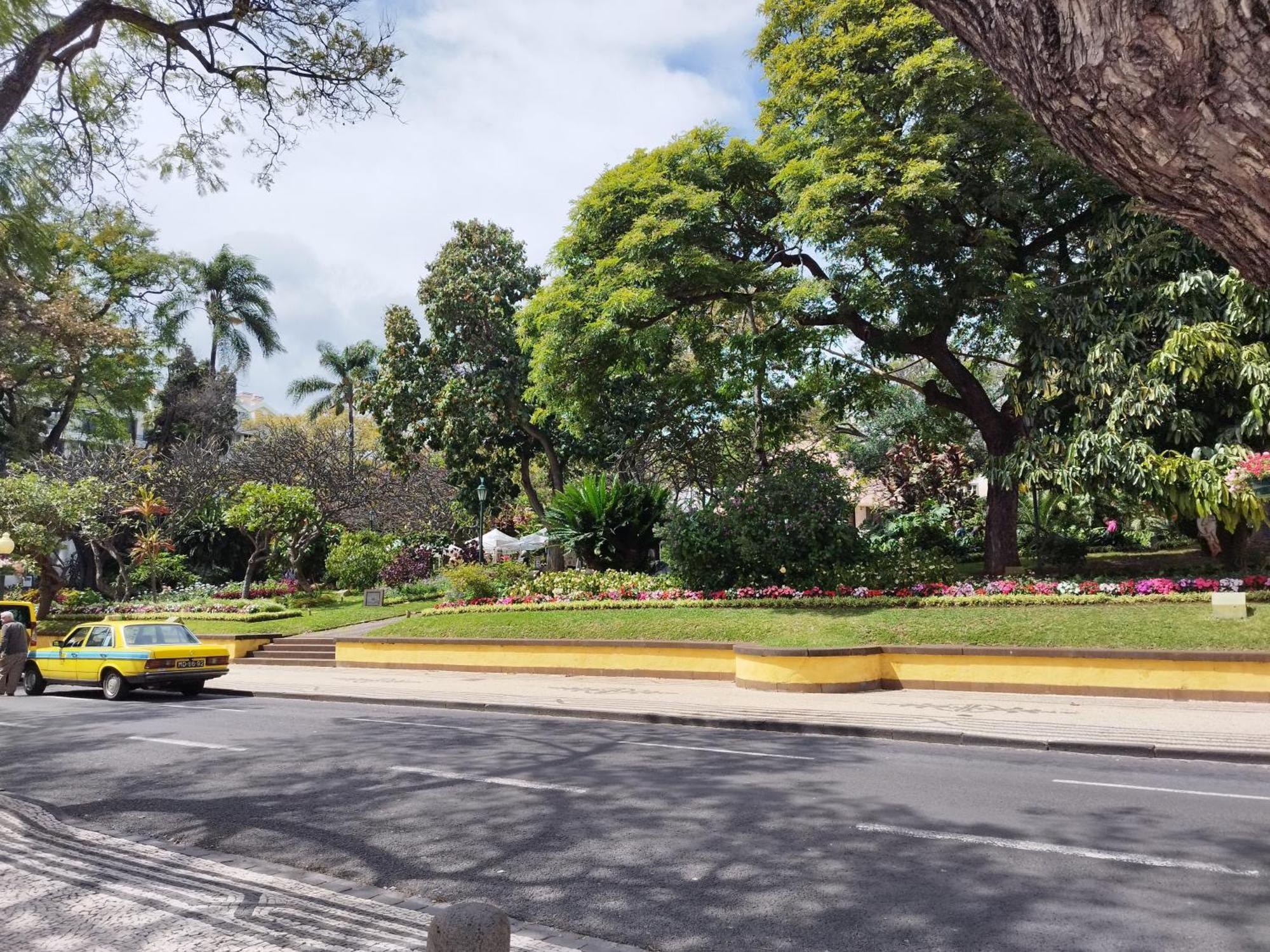 Alexia Room Funchal  Ngoại thất bức ảnh
